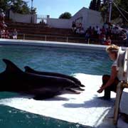 水族館